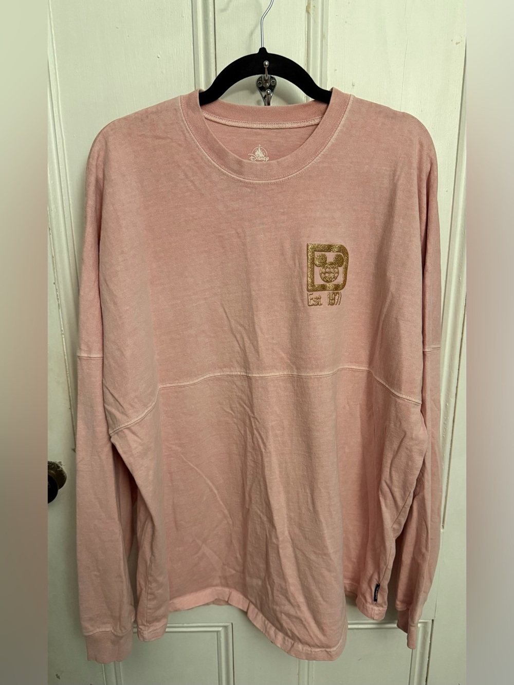 Briar Rose Disney Spirit Jersey – Size Large